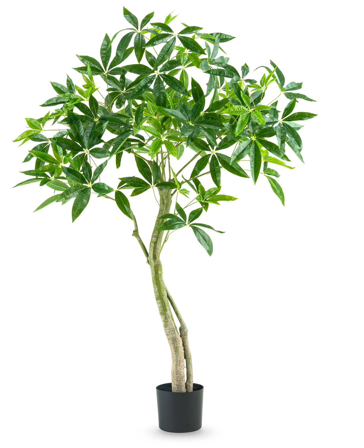 La Plante Artificielle Pachira 150 cm est une grande plante d'intérieur en pot avec plusieurs troncs élancés et des touffes de larges feuilles vertes brillantes sur un fond blanc uni.