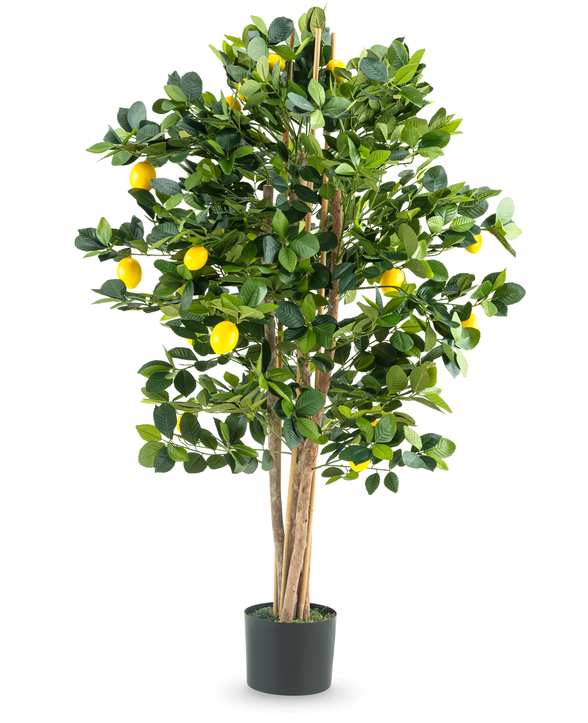 Le Citronnier Artificiel 120 cm est un citronnier artificiel en pot avec plusieurs troncs élancés, des feuilles vertes luxuriantes et des citrons jaune vif sur un fond blanc uni.