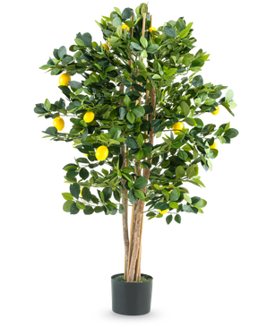 Le Citronnier Artificiel 120 cm est un citronnier artificiel en pot avec plusieurs troncs élancés, des feuilles vertes luxuriantes et des citrons jaune vif sur un fond blanc uni.