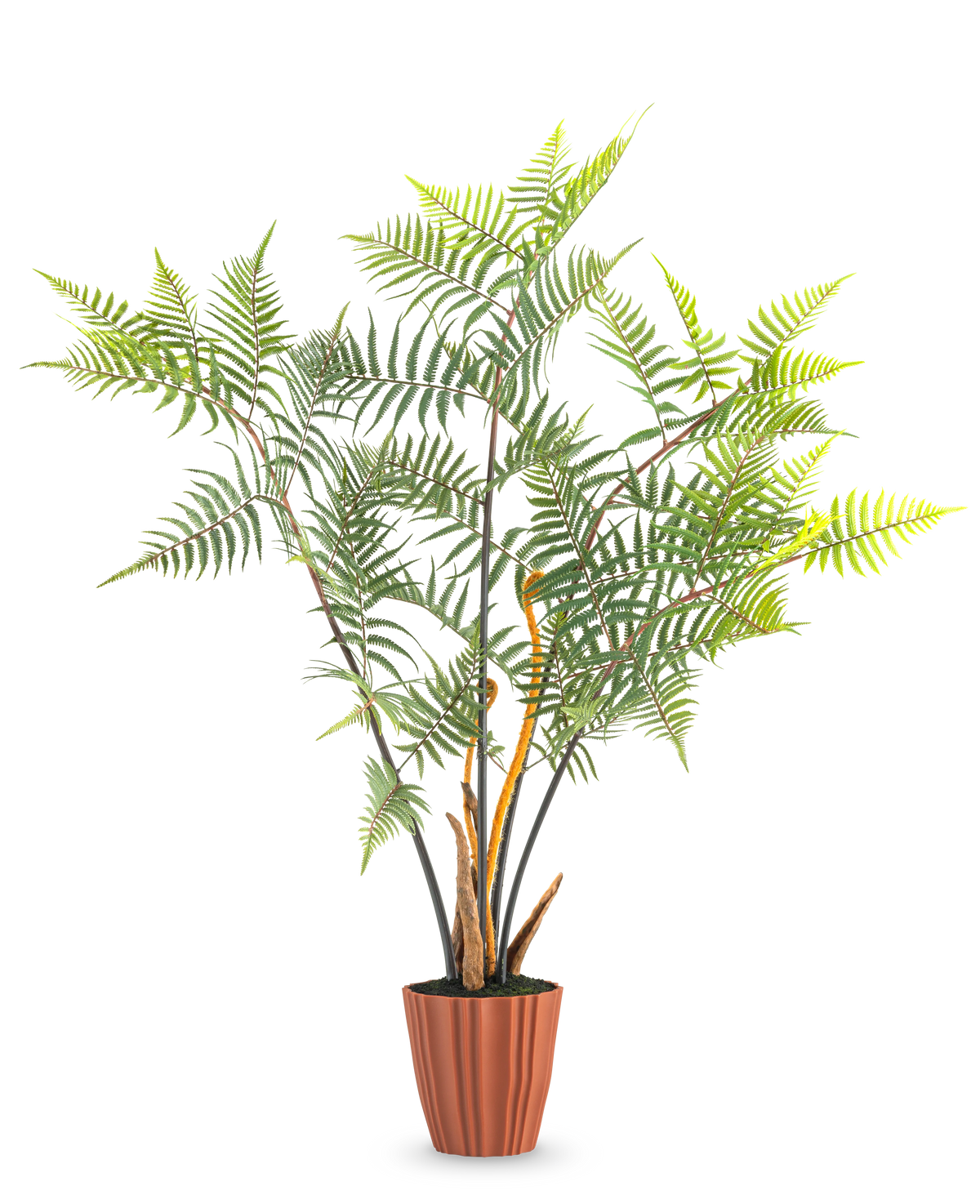 La Fougère Artificielle Deluxe 117 cm est une grande fougère artificielle avec de multiples feuilles vertes et des tiges minces, qui se dresse dans un pot marron nervuré sur un fond blanc uni.