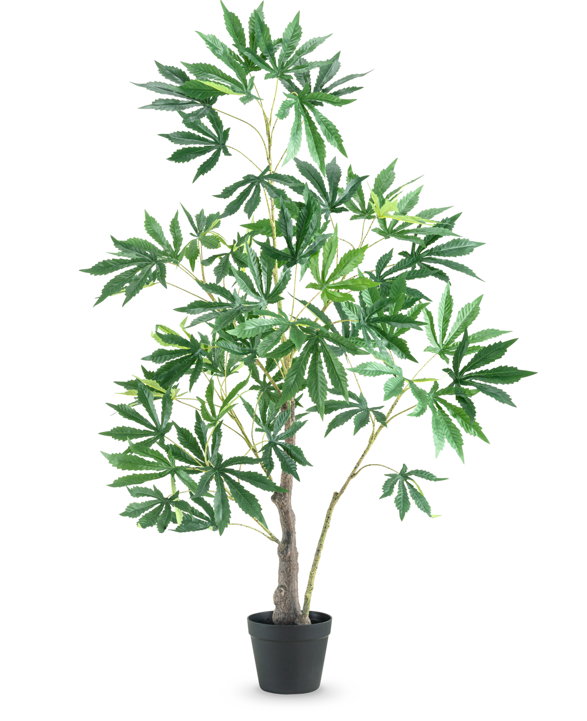 La Plante Artificielle Chanvre Feuilles de Cannabis 120 cm est une plante artificielle haute en pot avec plusieurs branches fines et des bouquets de grandes feuilles vertes aux bords dentelés sur un fond uni blanc.