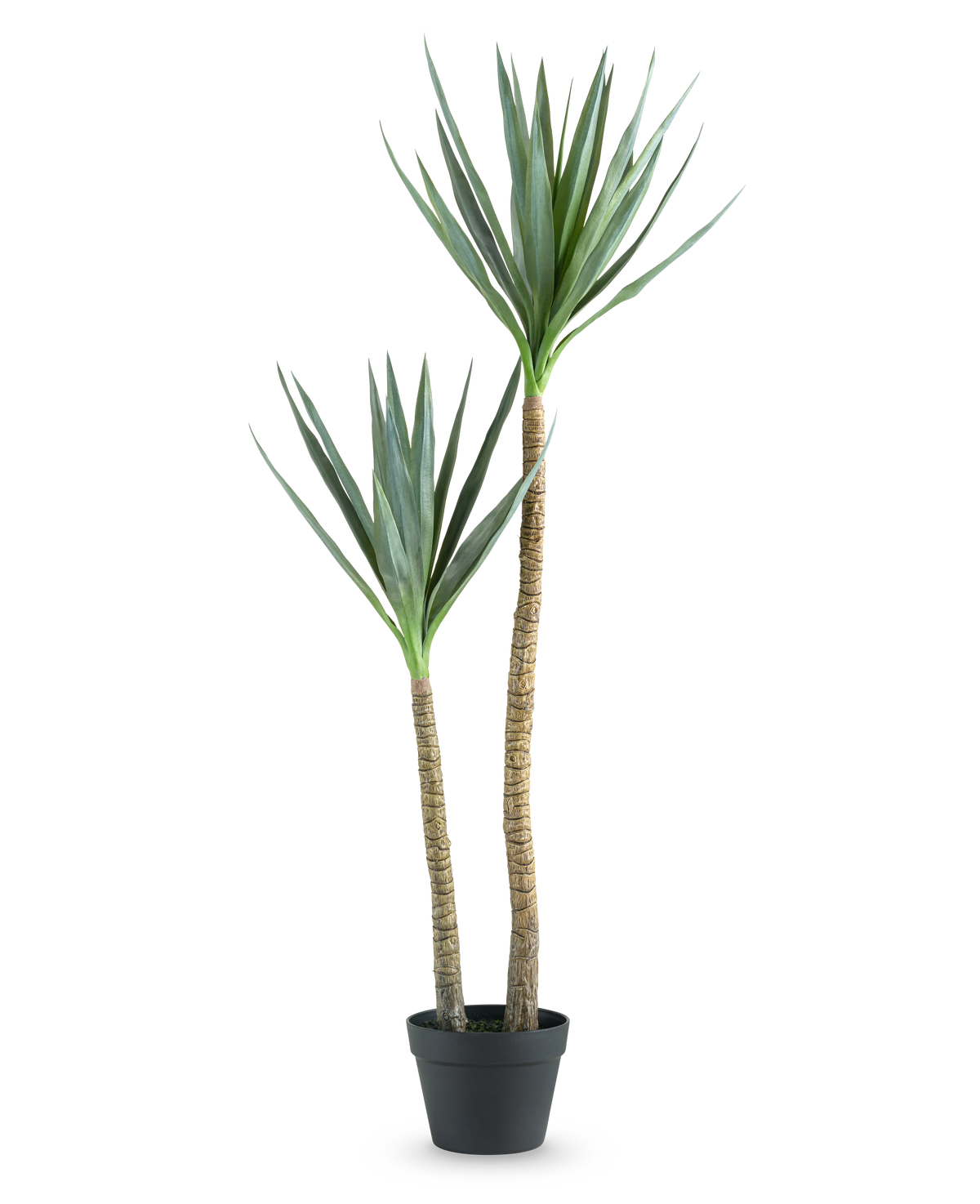 La Plante Artificielle Heneken 120 cm est une plante artificielle de yucca avec deux troncs hauts et élancés et des feuilles vertes pointues sur un fond blanc uni.