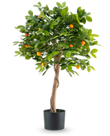 La Plante Artificielle Oranger 90 cm est un oranger en pot avec un tronc torsadé, des feuilles vertes luxuriantes et des petits fruits orange sur un fond blanc uni.