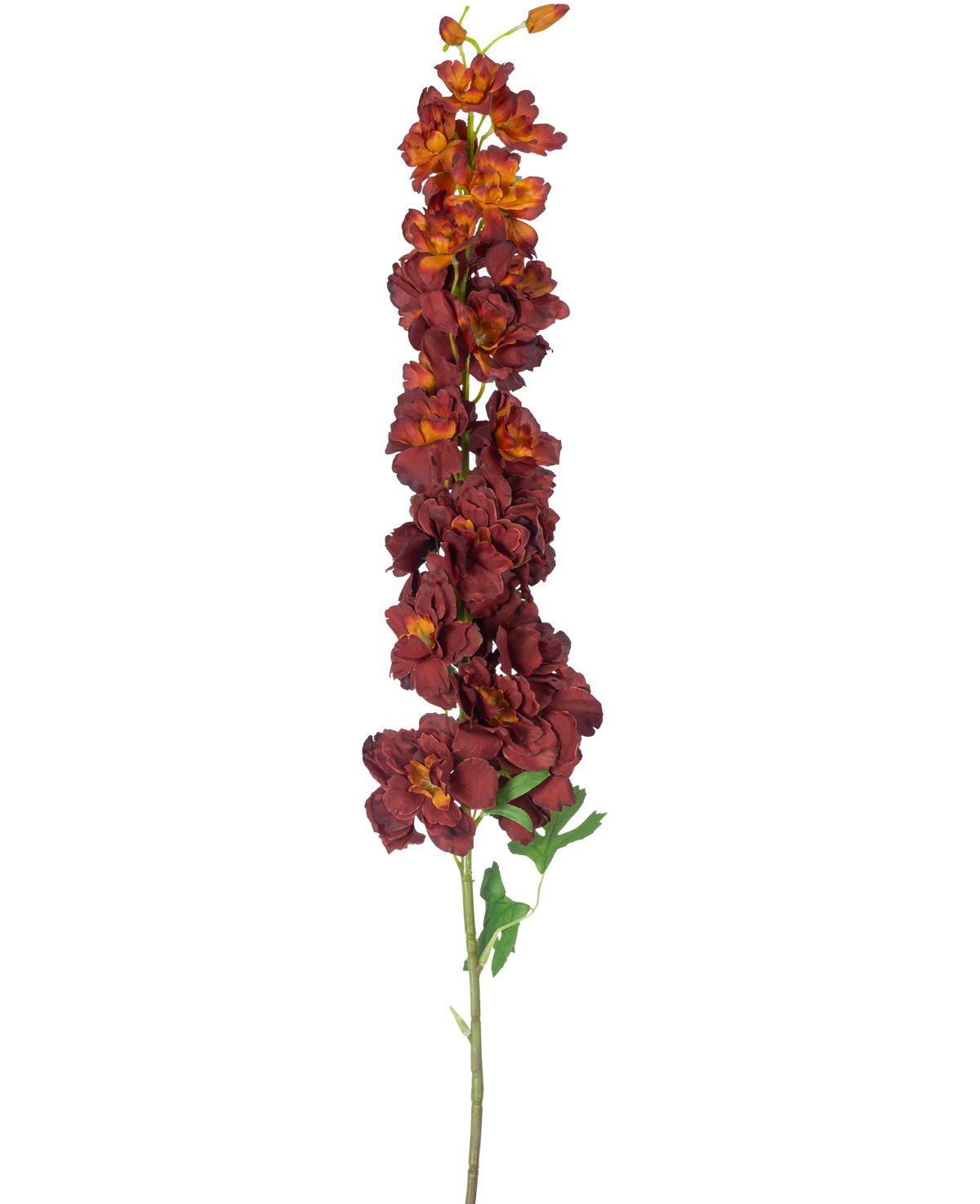 La Fleur artificielle Delphinium 105 cm bordeaux a une longue tige unique avec plusieurs fleurs artificielles rouge foncé et orange et des feuilles vertes, isolées sur un fond blanc.