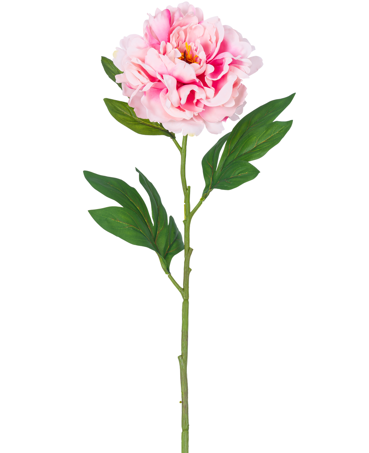 Une seule fleur artificielle pivoine de 77 cm rose clair avec des feuilles vertes luxuriantes sur un fond blanc uni.