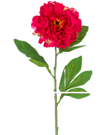 La pivoine artificielle de 77 cm rouge est une pivoine artificielle unique avec une grande fleur rouge vif et des feuilles vertes sur une longue tige, représentée sur un fond blanc.