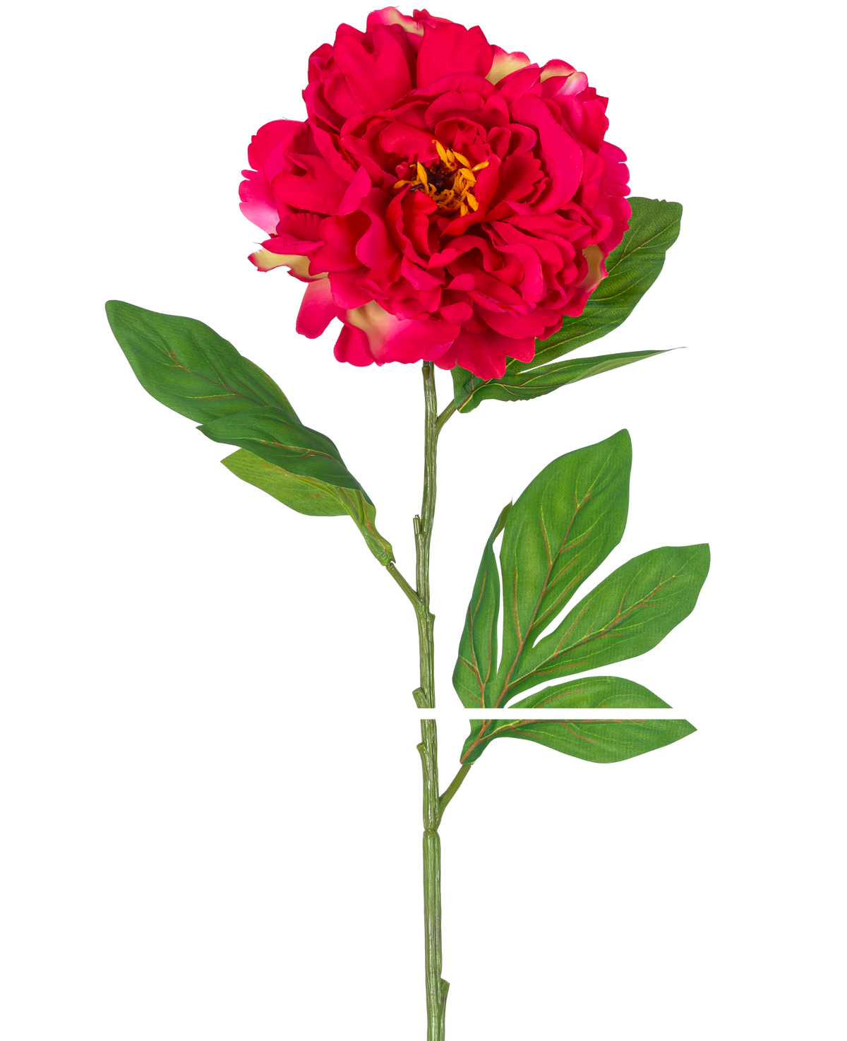 La pivoine artificielle de 77 cm rouge est une pivoine artificielle unique avec une grande fleur rouge vif et des feuilles vertes sur une longue tige, représentée sur un fond blanc.