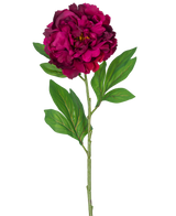 Une seule fleur artificielle de pivoine, tige d'aubergine artificielle de 77 cm, montrant une pivoine magenta foncé avec quelques feuilles vertes, sur un fond blanc uni.