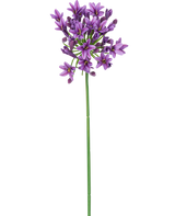 Une seule longue tige verte avec une petite fleur artificielle violette en forme d'étoile Agapanthus 77 cm de fleurs violettes fleurissant au sommet, isolées sur un fond blanc.