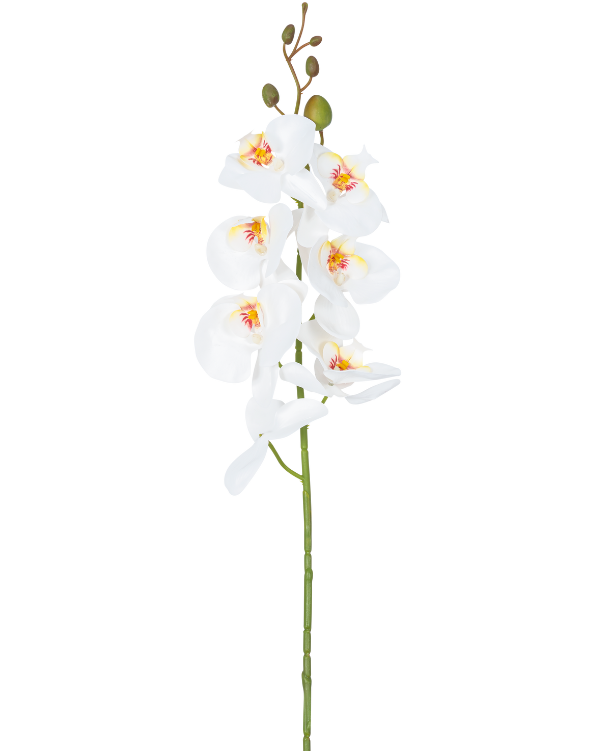 L'Orchidée Fleur Artificielle 84 cm blanche a une seule tige de fleurs d'orchidées blanches avec des cœurs jaunes et roses et des boutons floraux verts au sommet, sur un fond blanc uni.