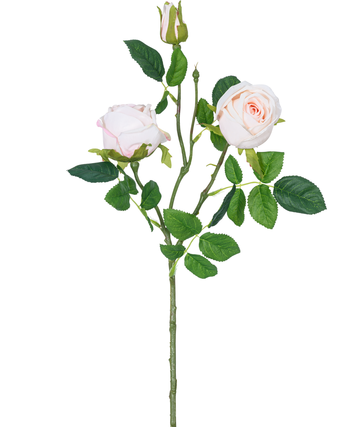 La Branche de Rose Artificielle Real Touch rose 72cm a une seule tige avec deux fleurs de rose rose clair, un bouton de rose et des feuilles vertes, isolées sur un fond blanc.