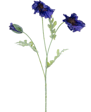 Une illustration botanique de la fleur artificielle de coquelicot 73 cm bleu foncé montre trois tiges vert clair - deux avec des volants de fleurs bleu foncé et une avec un bouton fermé sur un fond blanc.