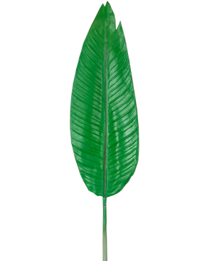 La feuille artificielle Strelitzia 110 cm est une grande feuille artificielle verte avec une nervure médiane proéminente et des nervures latérales visibles, représentée sur un fond blanc uni.