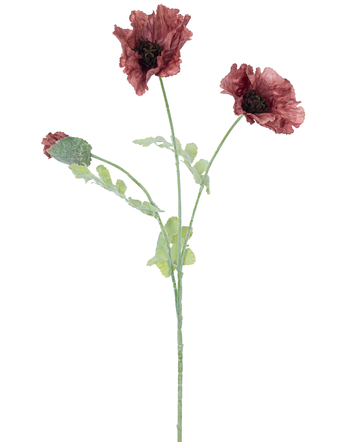 Illustration à l'aquarelle de la fleur de pavot artificielle de 73 cm mauve, avec trois fleurs rouge foncé aux tiges et feuilles vertes, sur un fond blanc uni.