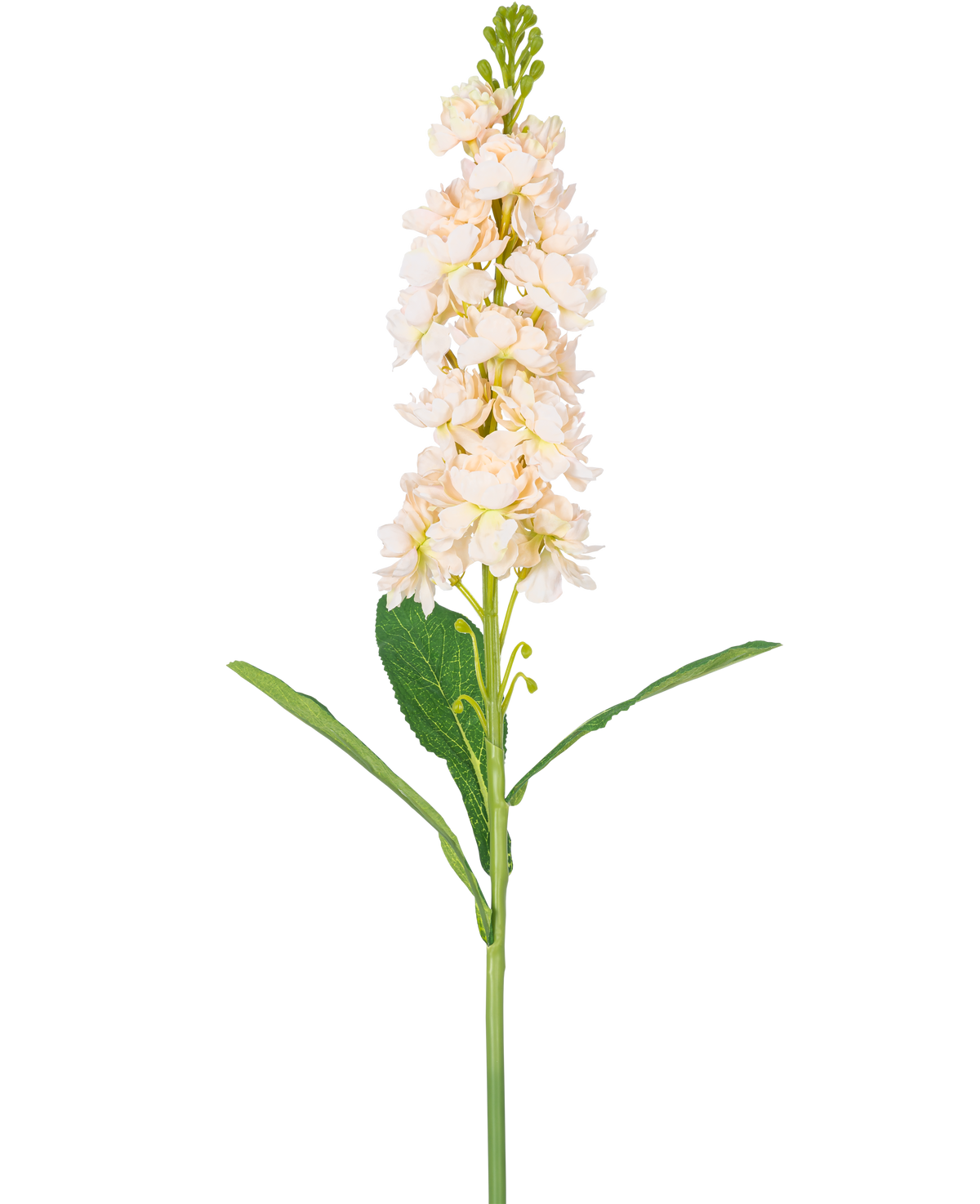 Une seule fleur artificielle Violier 78 cm crème présente plusieurs fleurs crème clair et des feuilles vertes sur un fond blanc uni.