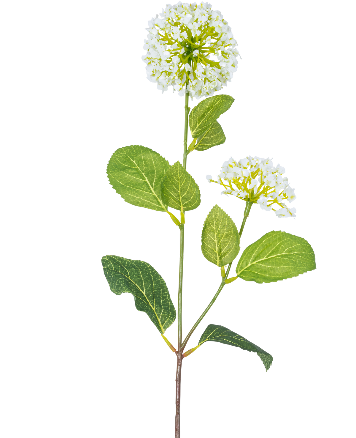 La Fleur Artificielle Boule de Neige/Viorne (70 cm) possède deux bouquets de petites fleurs blanches et plusieurs feuilles ovales vertes sur une tige, sur un fond blanc.