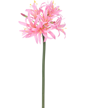 La Fleur Artificielle Nerine 70 cm rose a une haute tige verte avec une grappe de délicates fleurs rose araignée avec de longs pétales et des étamines jaunes, sur un fond blanc uni.
