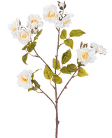La Rose Branche Artificielle 72 cm blanche possède une seule tige brune avec de multiples branches, des feuilles vertes et plusieurs grandes fleurs blanches au centre jaune, isolées sur un fond blanc.