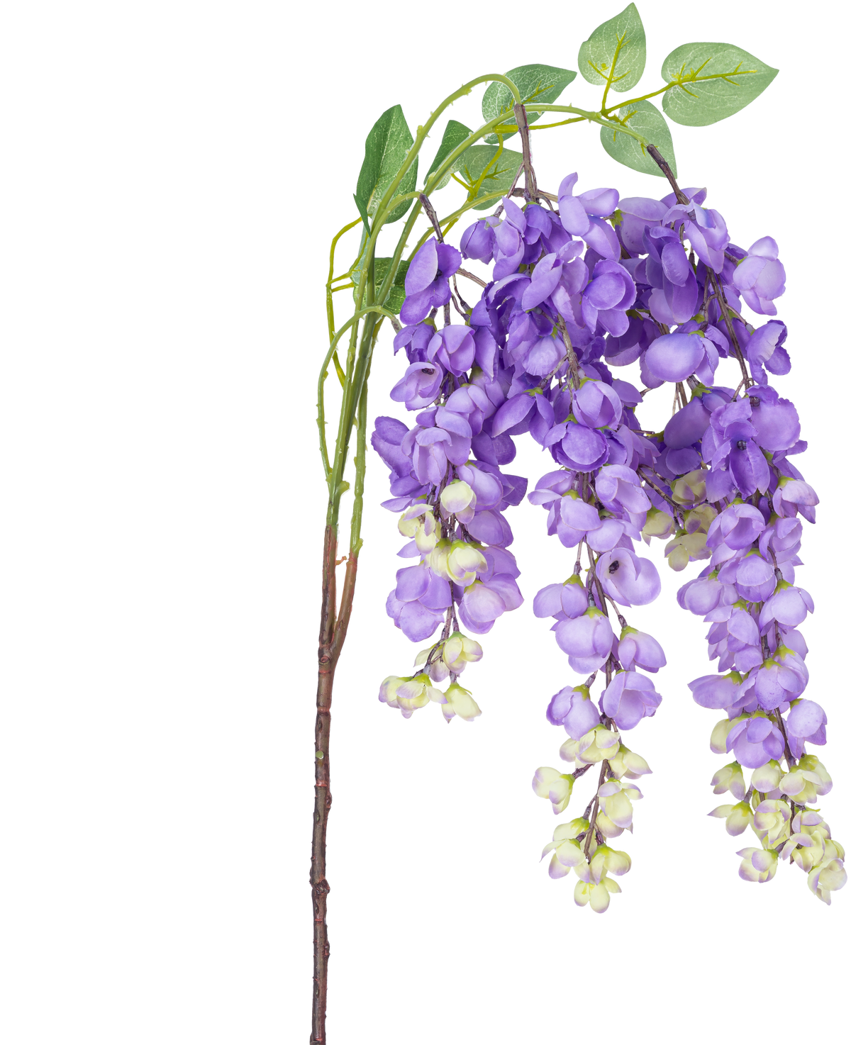 Une fleur artificielle de glycine de 115 cm violette avec des fleurs de glycine violettes et des feuilles vertes sur un fond blanc.