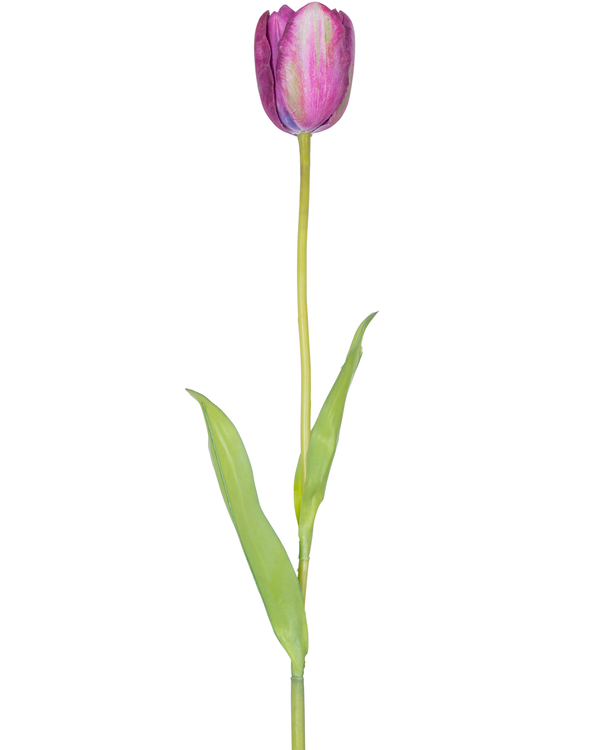 Une fleur artificielle tulipe française de 60 cm violette, une seule tulipe violette avec des feuilles vertes et une longue tige, isolée sur fond blanc.