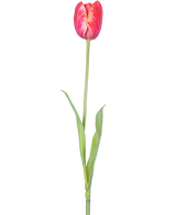 Une seule fleur artificielle de tulipe française de 60 cm rouge avec des pétales rouges vifs et des feuilles vertes sur une tige, sur un fond blanc.