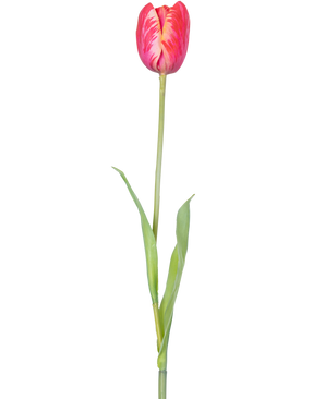 Une seule fleur artificielle de tulipe française de 60 cm rouge avec des pétales rouges vifs et des feuilles vertes sur une tige, sur un fond blanc.