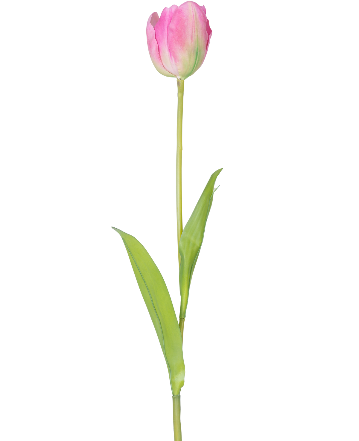 Une seule fleur artificielle tulipe française de 63 cm rose avec une longue tige verte et deux feuilles vertes, isolée sur fond blanc.