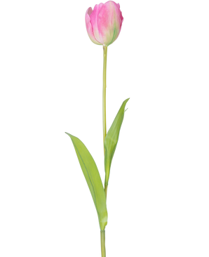 Une seule fleur artificielle tulipe française de 63 cm rose avec une longue tige verte et deux feuilles vertes, isolée sur fond blanc.