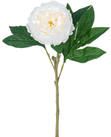 La Pivoine Artificielle Real Touch Blanc 58 cm possède une seule pivoine blanche avec des pétales superposés et un cœur jaune sur une longue tige verte avec plusieurs grandes feuilles vertes, sur un fond blanc uni.