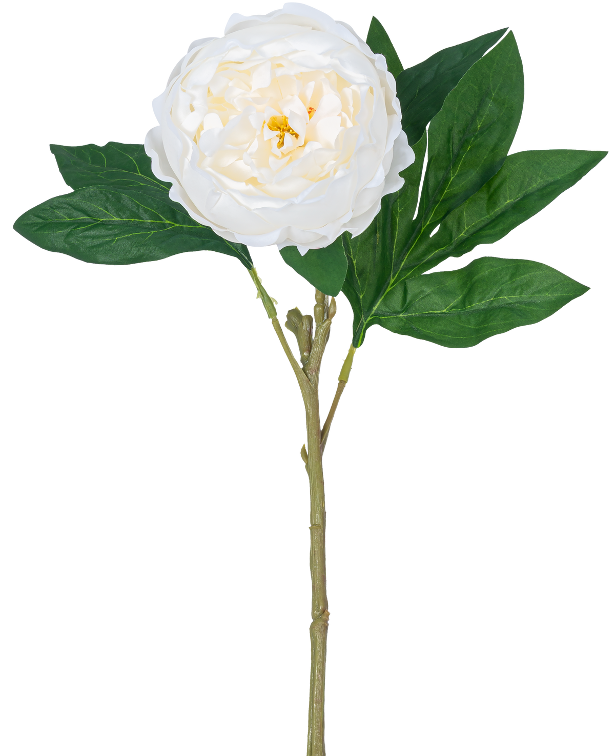 La Pivoine Artificielle Real Touch Blanc 58 cm possède une seule pivoine blanche avec des pétales superposés et un cœur jaune sur une longue tige verte avec plusieurs grandes feuilles vertes, sur un fond blanc uni.