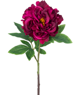 La fleur artificielle pivoine 61 cm violette est une pivoine artificielle simple avec des pétales superposés violet foncé, un cœur jaune, des feuilles vertes et une longue tige, représentée sur un fond blanc uni.
