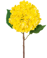La fleur artificielle Hortensia Real Touch jaune 58 cm présente un seul hortensia jaune avec des pétales superposés, deux grandes feuilles vertes et une tige brune, sur un fond blanc uni.