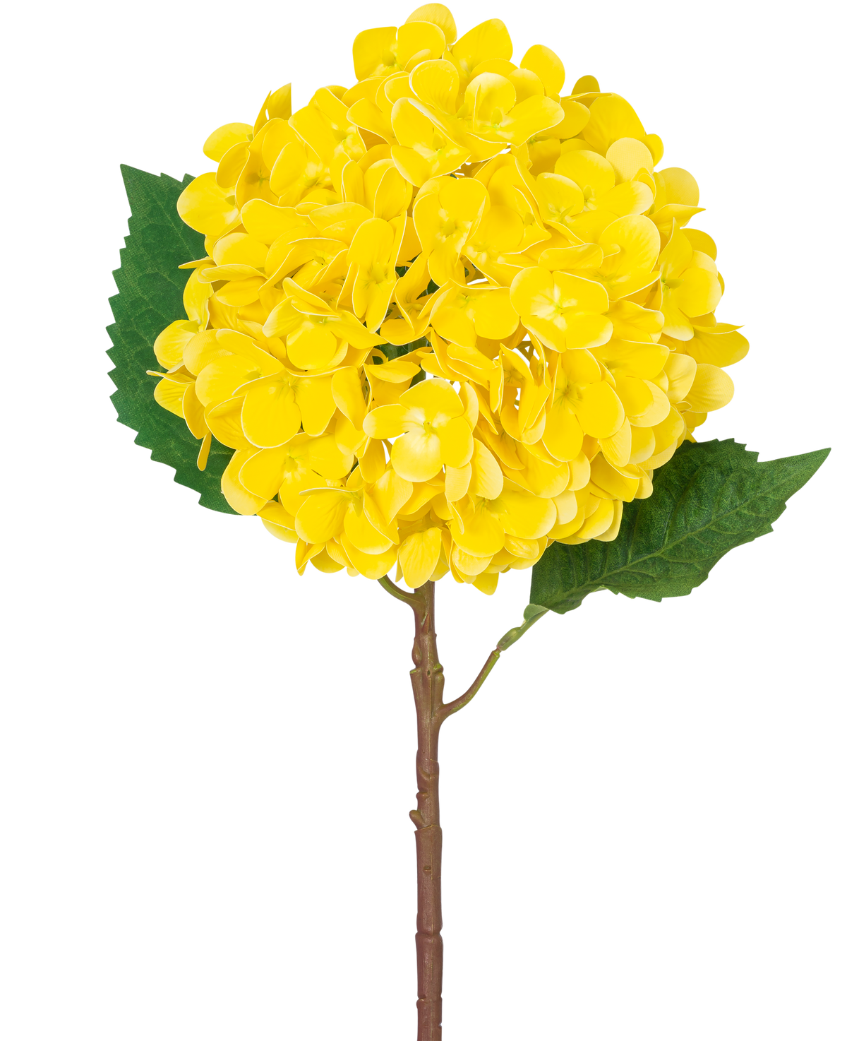 La fleur artificielle Hortensia Real Touch jaune 58 cm présente un seul hortensia jaune avec des pétales superposés, deux grandes feuilles vertes et une tige brune, sur un fond blanc uni.