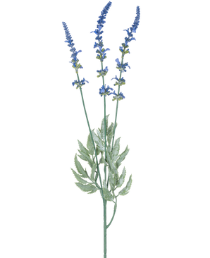 Une illustration botanique d'une branche artificielle de lavande de 66 cm bleue montre trois tiges longues et fines avec des grappes de petites fleurs bleues et des feuilles vertes allongées sur un fond blanc.