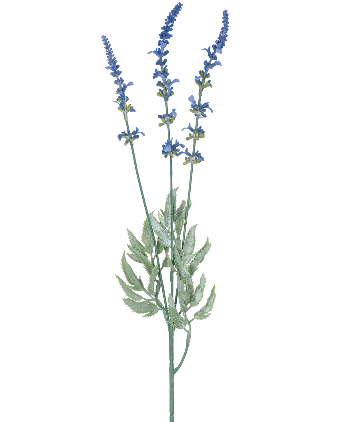 Une illustration botanique d'une branche artificielle de lavande de 66 cm bleue montre trois tiges longues et fines avec des grappes de petites fleurs bleues et des feuilles vertes allongées sur un fond blanc.