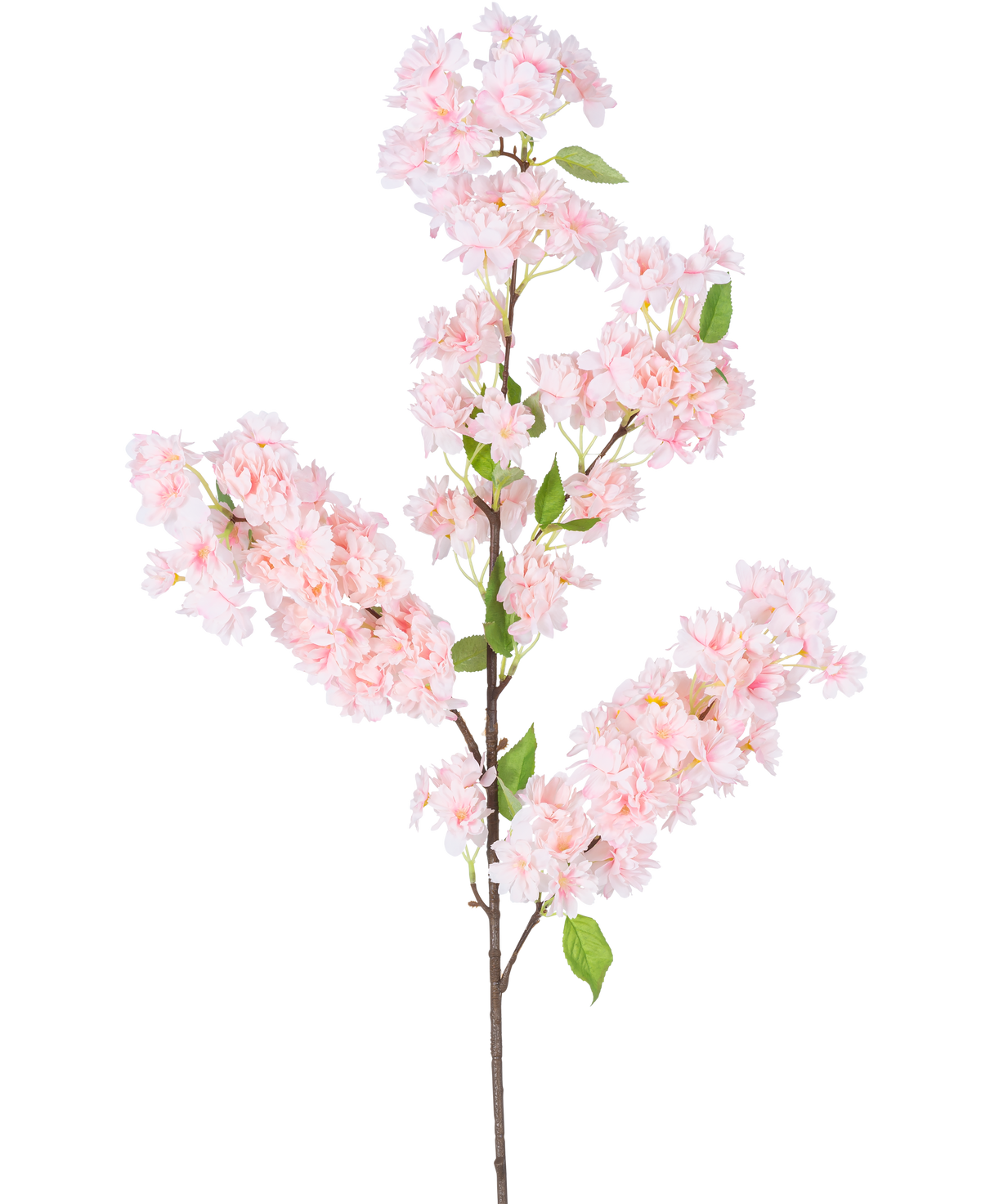 La Fleur de Cerisier Artificielle 100 cm rose a une longue tige brune, des bouquets de fleurs de cerisier rose clair et des feuilles vertes sur fond blanc.