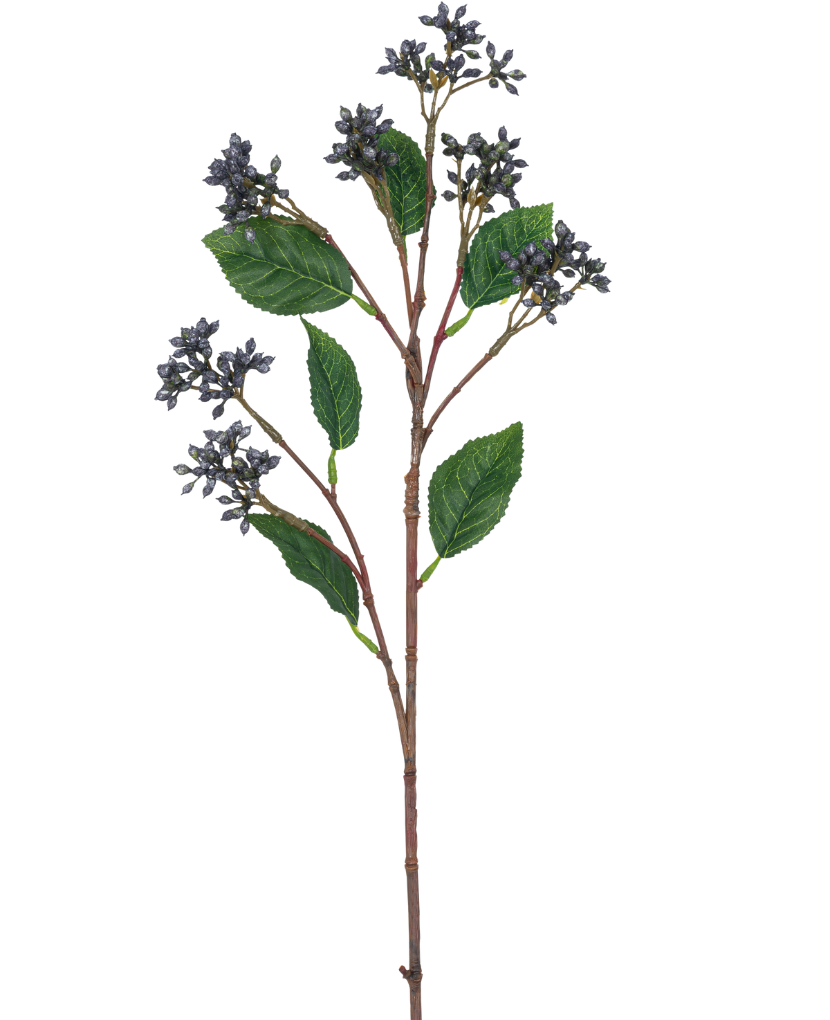 Le Kunsttak Japanese Berry 63 cm présente des grappes de petites baies bleu acier et des feuilles vertes simples sur de fines tiges brunes, sur un fond blanc uni.