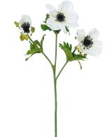 La Fleur Artificielle Anémone ramifiée 56 cm blanche possède une seule tige verte avec trois fleurs d'anémone blanches, chacune avec un cœur foncé et de fines étamines noires, ainsi que des feuilles vertes, le tout sur un fond blanc uni.