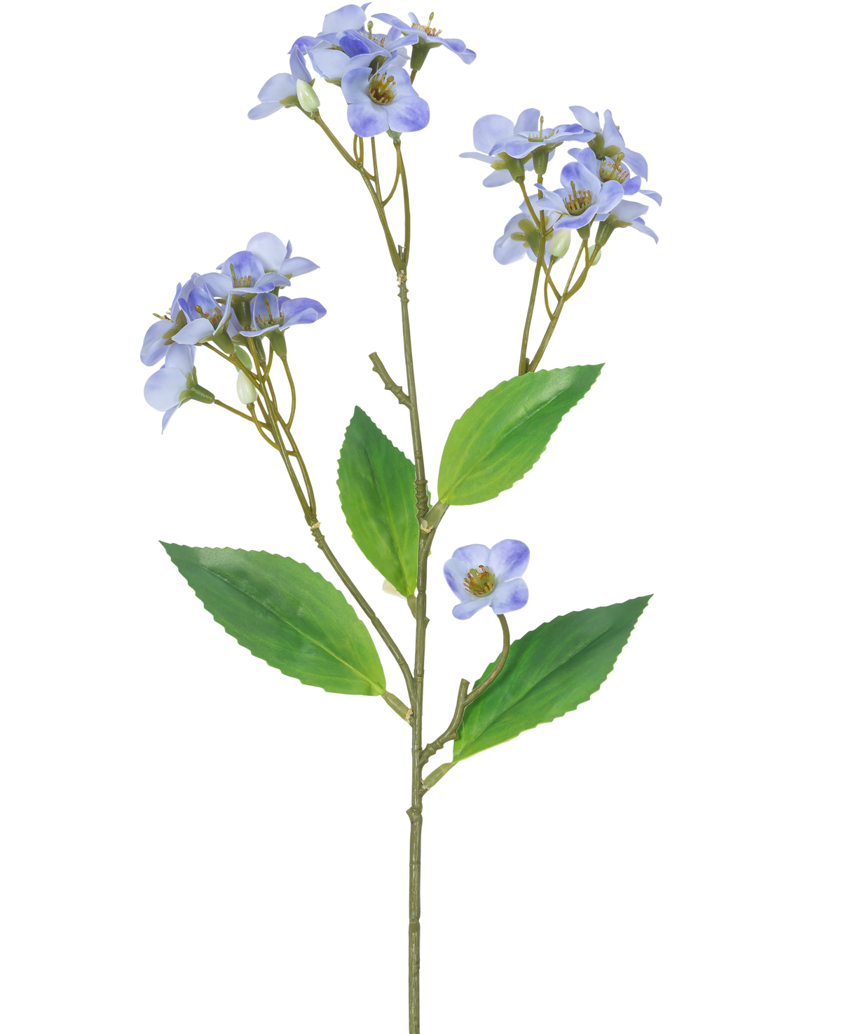 Une Orchidée Artificielle Real Touch Violet 50 cm possède une seule tige verte avec plusieurs branches, chacune décorée de bouquets de petites fleurs d'orchidée violet clair et de feuilles vertes, sur un fond blanc.