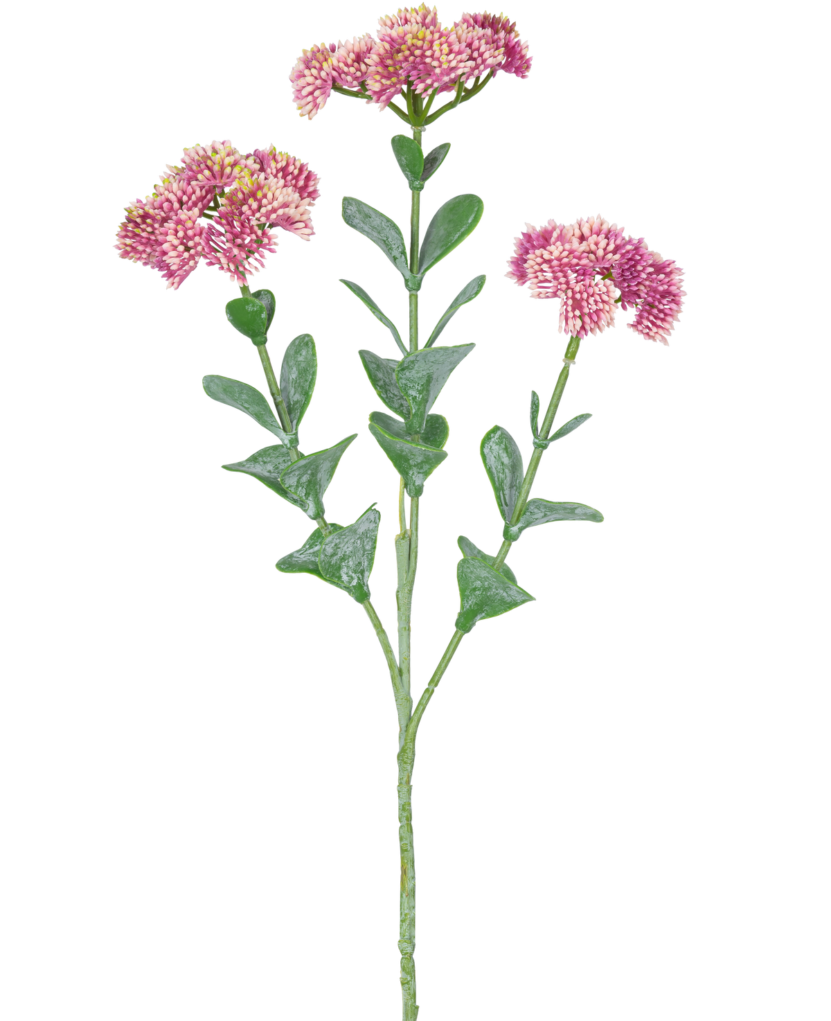 Le Branche Artificielle Sedum 56 cm rose clair possède une seule tige verte avec de multiples branches, chacune décorée de bouquets de petites fleurs rose clair aux pétales arrondis, sur un fond blanc.