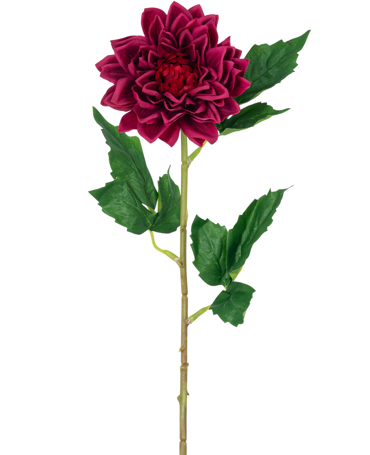 La Fleur Artificielle Dahlia Real Touch rouge foncé 54 cm présente une seule fleur de dahlia rouge foncé avec des feuilles vertes sur une tige, isolée sur un fond blanc.