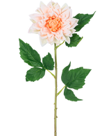 La Fleur Artificielle Dahlia Real Touch champagne 54 cm a une tige unique avec une légère fleur de dahlia champagne en pleine floraison et des feuilles vertes, représentées sur un fond blanc.