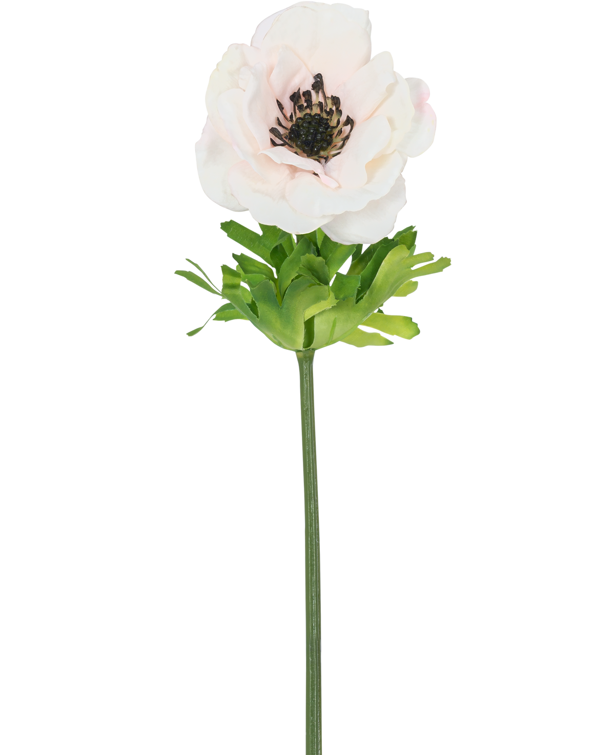 La Fleur Artificielle Anémone Real Touch Rose 52 cm possède une seule fleur rose clair avec de fins pétales, un cœur foncé, des feuilles vertes et une longue tige, sur un fond blanc.