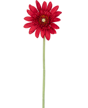 La Fleur Artificielle Gerbera 53 cm rouge possède un seul gerbera rouge avec des pétales superposés et un cœur jaune sur une longue tige verte, sur un fond blanc uni.