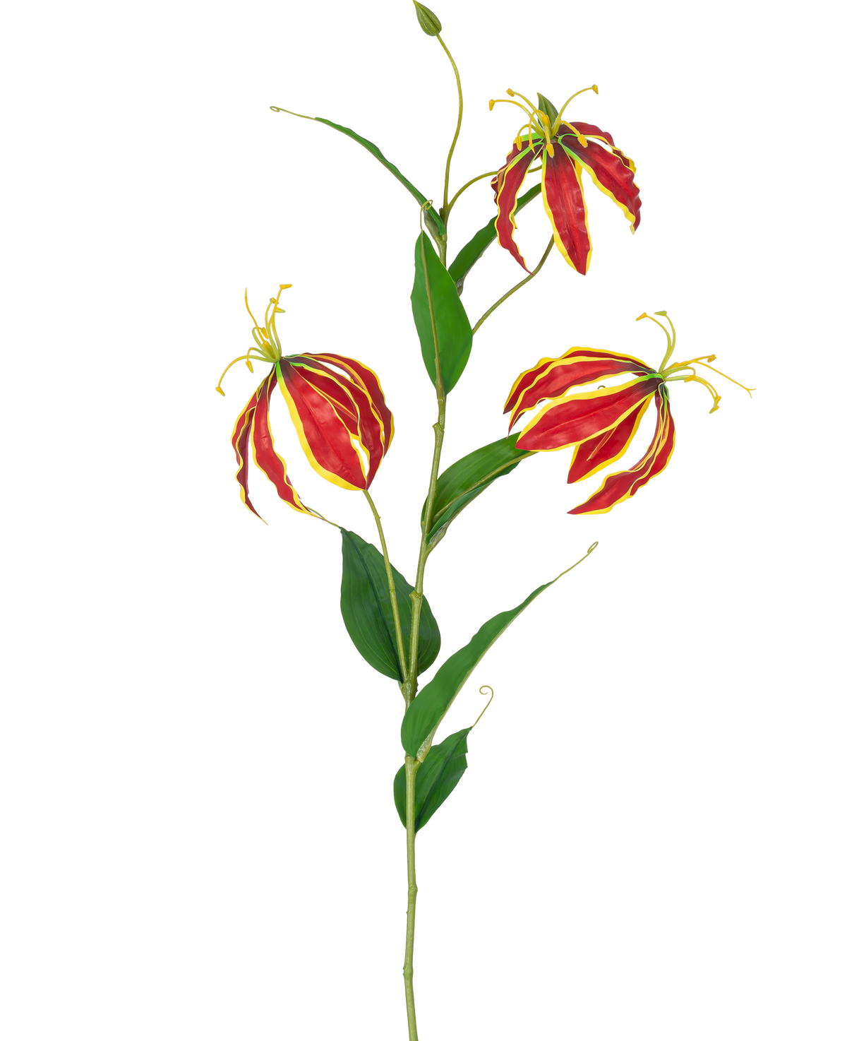 La Fleur Artificielle Gloriosa Real Touch Rouge 75 cm a une seule tige avec trois fleurs de lys rouges et jaunes vibrantes et de longues feuilles vertes, sur un fond blanc.