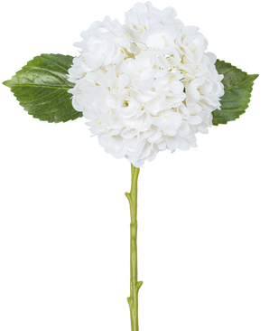 La fleur artificielle Hortensia Real Touch Blanc 49 cm présente un seul hortensia blanc aux pétales ronds et pleins, deux grandes feuilles vertes et une longue tige, sur un fond blanc uni.
