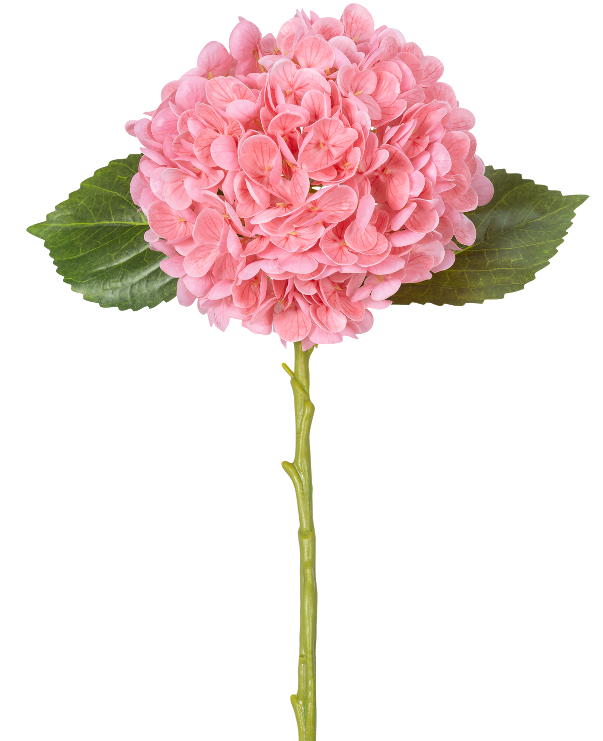 La Fleur Artificielle Charlotte Hortensia Real Touch Rose 49 cm présente un seul hortensia rose avec des grappes de pétales denses et rondes, deux feuilles vertes et une longue tige verte sur fond blanc.