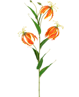La fleur artificielle Gloriosa Real Touch Orange 75 cm a une haute tige verte avec trois grands lys orange et jaune et de longues feuilles vertes fines, joliment disposées sur un fond blanc.