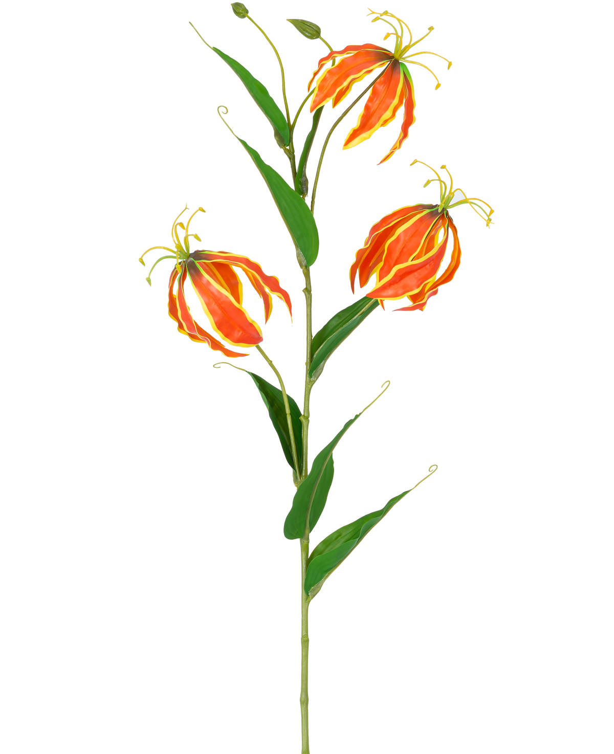 La fleur artificielle Gloriosa Real Touch Orange 75 cm a une haute tige verte avec trois grands lys orange et jaune et de longues feuilles vertes fines, joliment disposées sur un fond blanc.