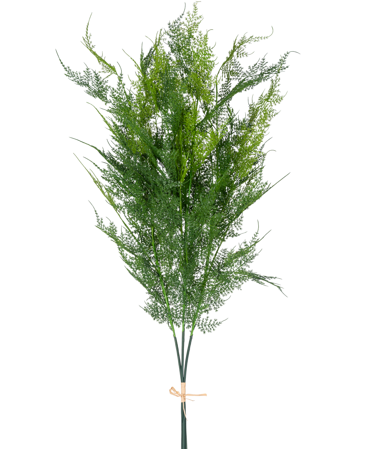 La Branche Artificielle Fougère Deluxe 127 cm possède de hautes fougères artificielles vert clair, regroupées avec une corde de couleur beige, sur un fond blanc uni.